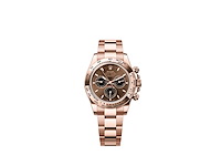 Rolex daytona 126505 | chocolate dial | rose gold | 2026 | unworn - afbeelding 1 van  1