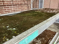 Rolsteiger - afbeelding 5 van  8