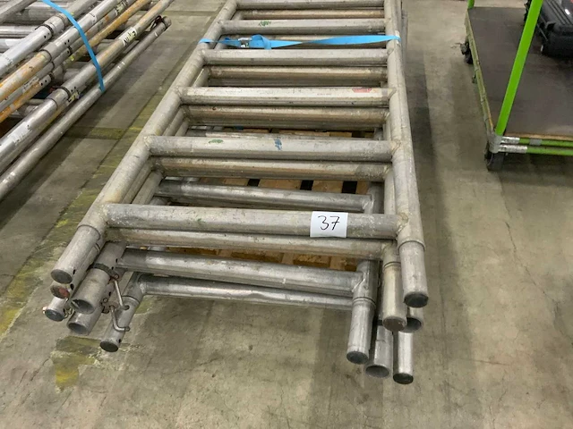 Rolsteigerstaander (6x) - afbeelding 2 van  3