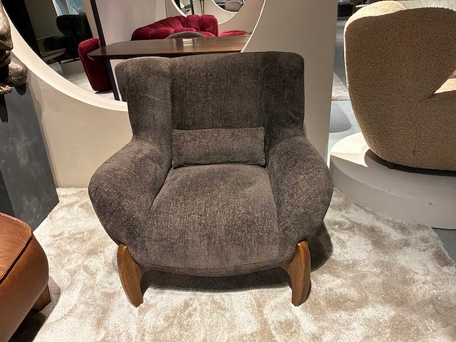 Roma fauteuil - afbeelding 7 van  9