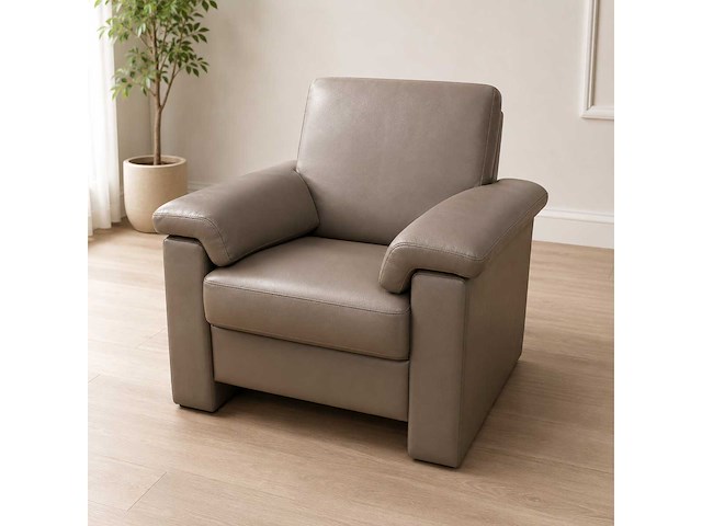 Roma lederen fauteuil - afbeelding 1 van  15
