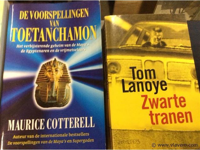 Romans divers - afbeelding 3 van  3