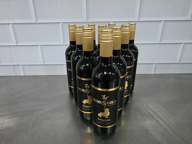 Romi&lola collezione rode wijn fles (10x) - afbeelding 1 van  5