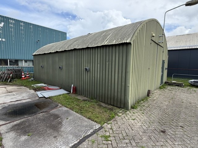 Romneyloods, groen - afbeelding 1 van  10
