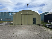 Romneyloods, groen - afbeelding 4 van  10