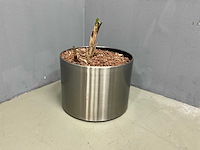 Rond plantenbak - afbeelding 2 van  4