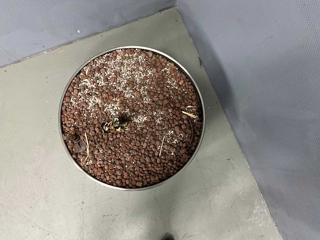 Rond plantenbak - afbeelding 3 van  4