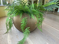 Rond plantenbak - afbeelding 2 van  3