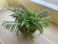 Rond plantenbak - afbeelding 3 van  3