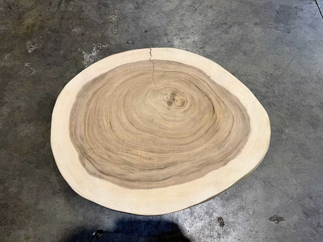 Rond suar blad 60/70 cm - afbeelding 1 van  2