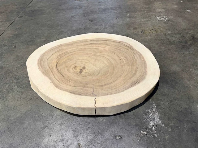 Rond suar blad 60/70 cm - afbeelding 2 van  2
