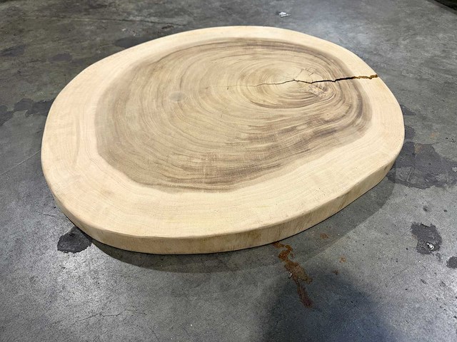 Rond suar blad ca 80 cm. - afbeelding 1 van  2
