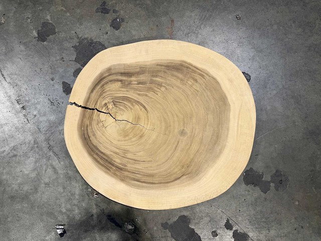 Rond suar blad ca 80 cm. - afbeelding 2 van  2