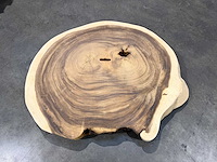 Rond suar boomstam blad - afbeelding 1 van  2