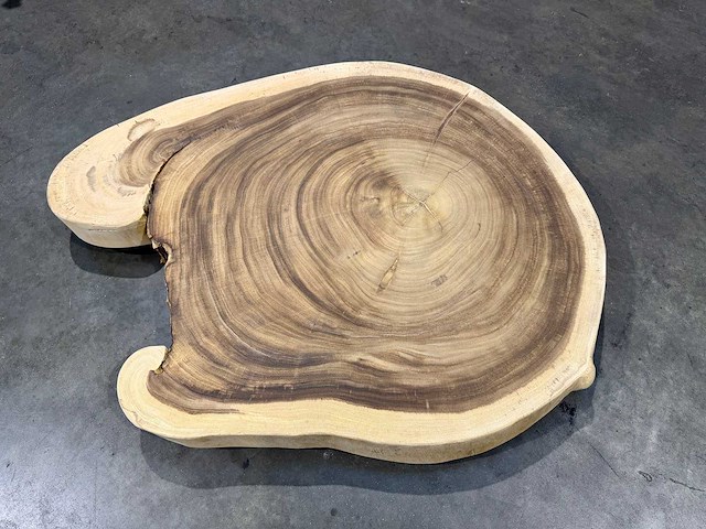 Rond suar boomstam blad - afbeelding 1 van  2