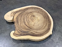 Rond suar boomstam blad - afbeelding 1 van  2