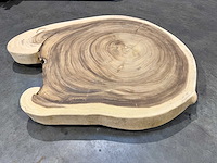 Rond suar boomstam blad - afbeelding 2 van  2