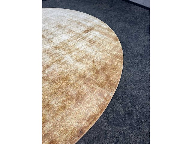 Rond vloerkleed ø295 - afbeelding 2 van  4