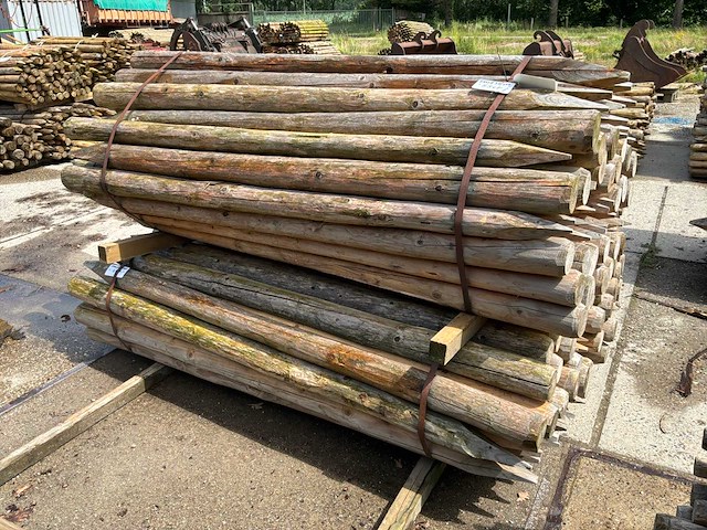 Ronde paal 2000xø100-90mm (165x) - afbeelding 2 van  4