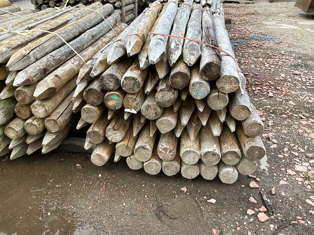 Ronde palen 1600xø100-80mm (180x) - afbeelding 5 van  7
