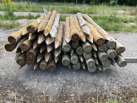 Ronde palen 1800xø100-80mm (60x) - afbeelding 5 van  5