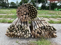 Ronde palen 1800xø90mm (165x) - afbeelding 4 van  4