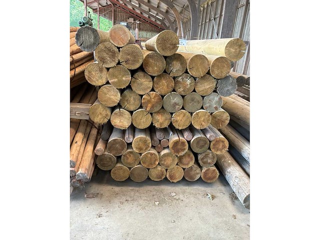 Ronde palen 2000xø155mm (47x) - afbeelding 2 van  4