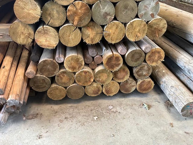 Ronde palen 2000xø155mm (47x) - afbeelding 4 van  4