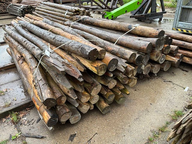 Ronde palen 2500x110-130mm (69x) - afbeelding 2 van  5