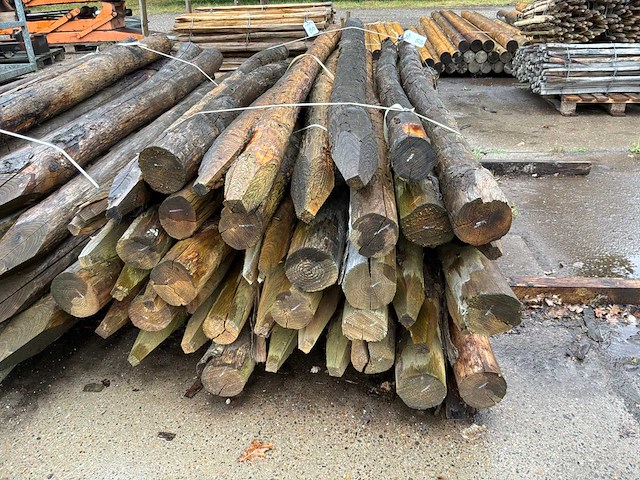 Ronde palen 2500x110-130mm (69x) - afbeelding 3 van  5