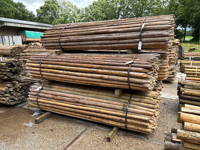 Ronde palen 2500xø50-60mm (500x) - afbeelding 2 van  6