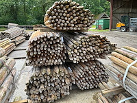 Ronde palen 2500xø50-60mm (500x) - afbeelding 6 van  6