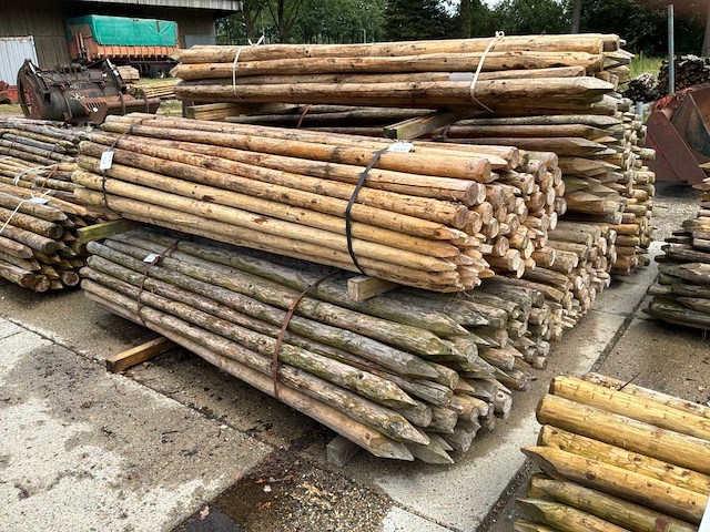 Ronde palen 2500xø80mm (425x) - afbeelding 2 van  6