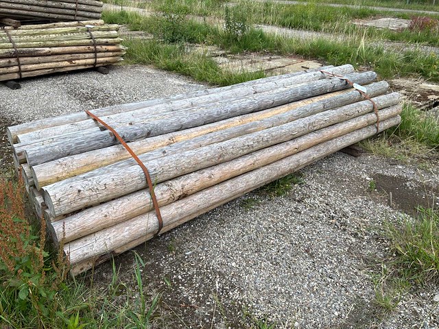 Ronde palen 3000xø110-120mm (33x) - afbeelding 1 van  4