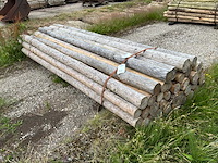 Ronde palen 3000xø110-120mm (33x) - afbeelding 2 van  4