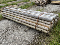Ronde palen 3000xø110-120mm (33x) - afbeelding 3 van  4