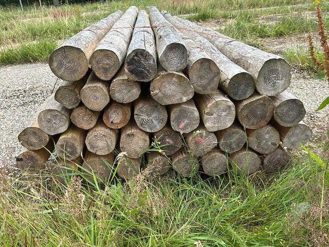 Ronde palen 3000xø110-120mm (33x) - afbeelding 4 van  4