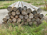 Ronde palen 3000xø110-120mm (33x) - afbeelding 4 van  4