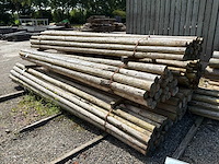 Ronde palen 4000x100-80mm (145x) - afbeelding 2 van  4