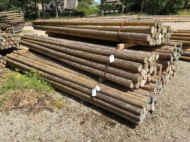 Ronde palen 4000x100-80mm (145x) - afbeelding 3 van  4
