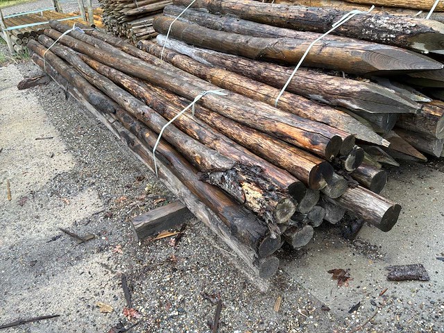 Ronde palen 4000xø180mm (18x) - afbeelding 2 van  4