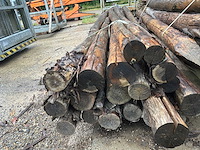 Ronde palen 4000xø180mm (18x) - afbeelding 4 van  4