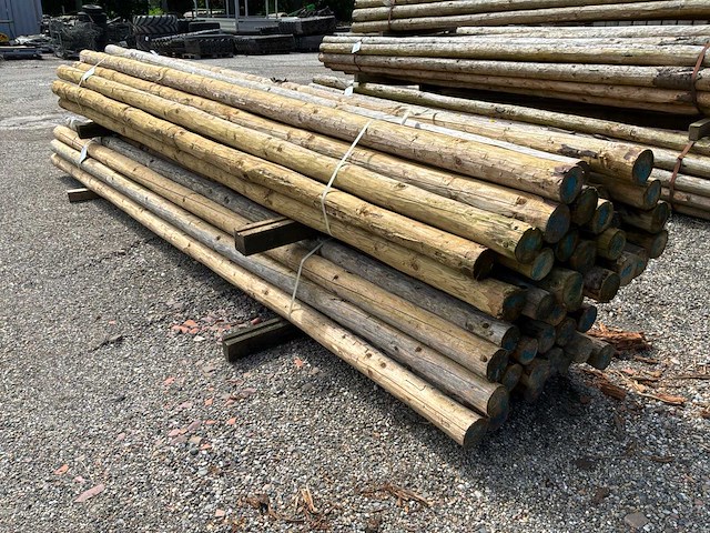Ronde palen 5000x90-80mm (45x) - afbeelding 3 van  5