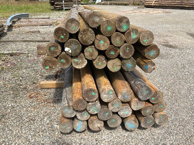 Ronde palen 5000x90-80mm (45x) - afbeelding 5 van  5