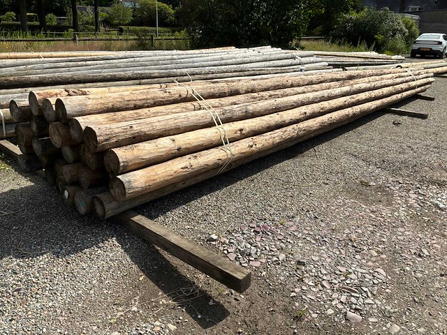 Ronde palen 7000xø130-80mm (28x) - afbeelding 1 van  4