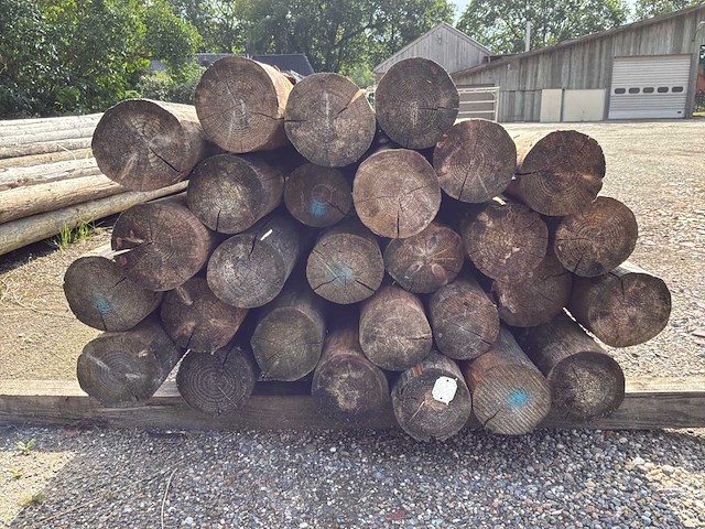 Ronde palen 7000xø130-80mm (28x) - afbeelding 4 van  4
