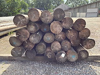 Ronde palen 7000xø130-80mm (28x) - afbeelding 4 van  4
