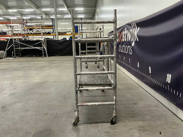 Rontrex kamersteiger - afbeelding 7 van  9