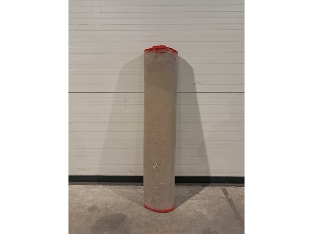 Rood/oranje loper - afbeelding 2 van  2