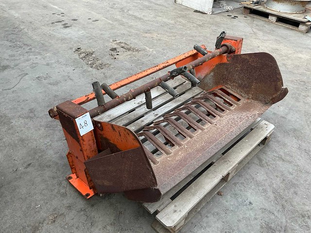 Rooibek - afbeelding 1 van  3